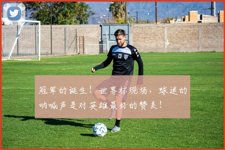 冠军的诞生！世界杯现场，球迷的呐喊声是对英雄最好的赞美！